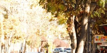 Maipú amplía sus veredas\u002E