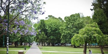 Parque Saavedra, La Plata\u002E