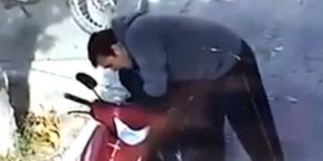 El robo quedó registrado en la cámara de seguridad de un local\u002E