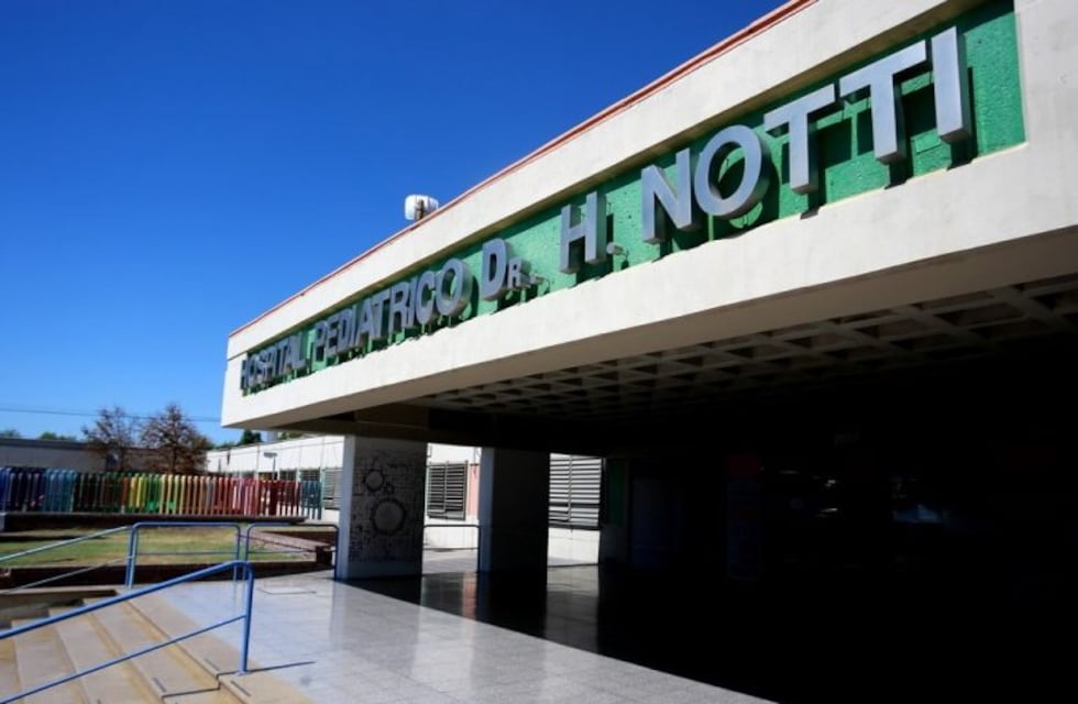 Una niña de 6 años cayó desde un árbol y está internada en grave estado