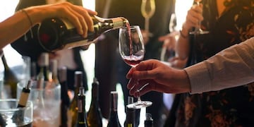 Mendoza, vino