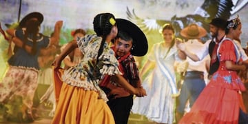 Imagen archivo\u002E El chamamé podría ser patrimonio de la humanidad ante la Unesco\u002E