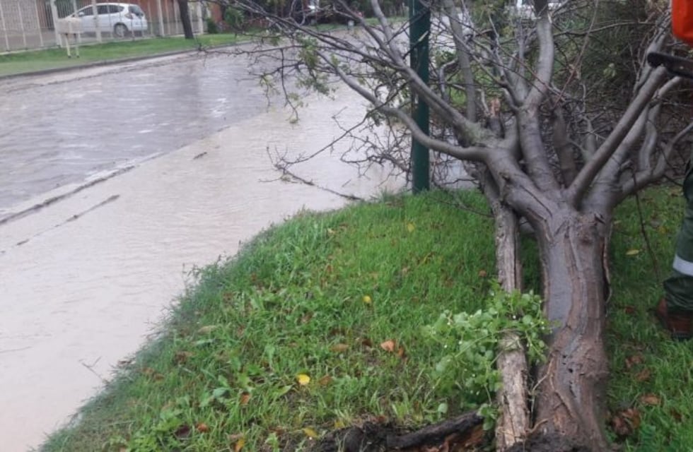 El viento y la lluvia causaron problemas en Bahía Blanca