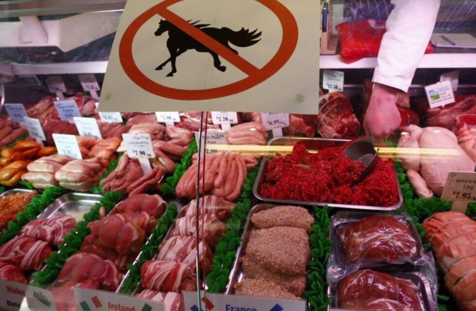 Alertan por el robo de caballos para hacer carne molida
