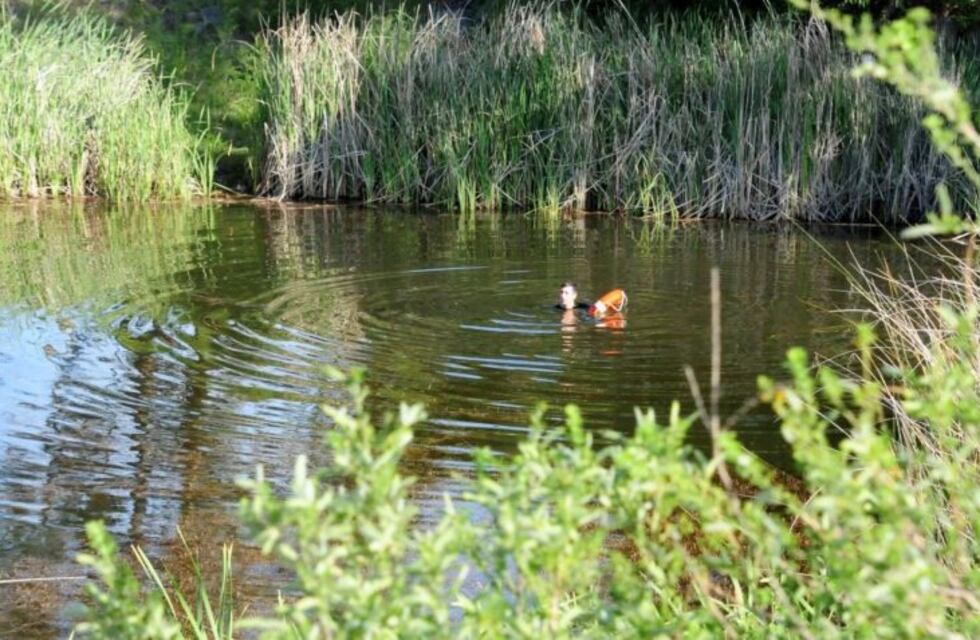 Tandil: un chico murió ahogado tras tirarse a nadar a una cantera