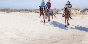 Medanos de Cafayate. (Ministerio de Cultura, Trurismo y Deporte)