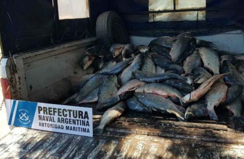 Prefectura secuestró una embarcación por pesca ilegal en el río Paraná