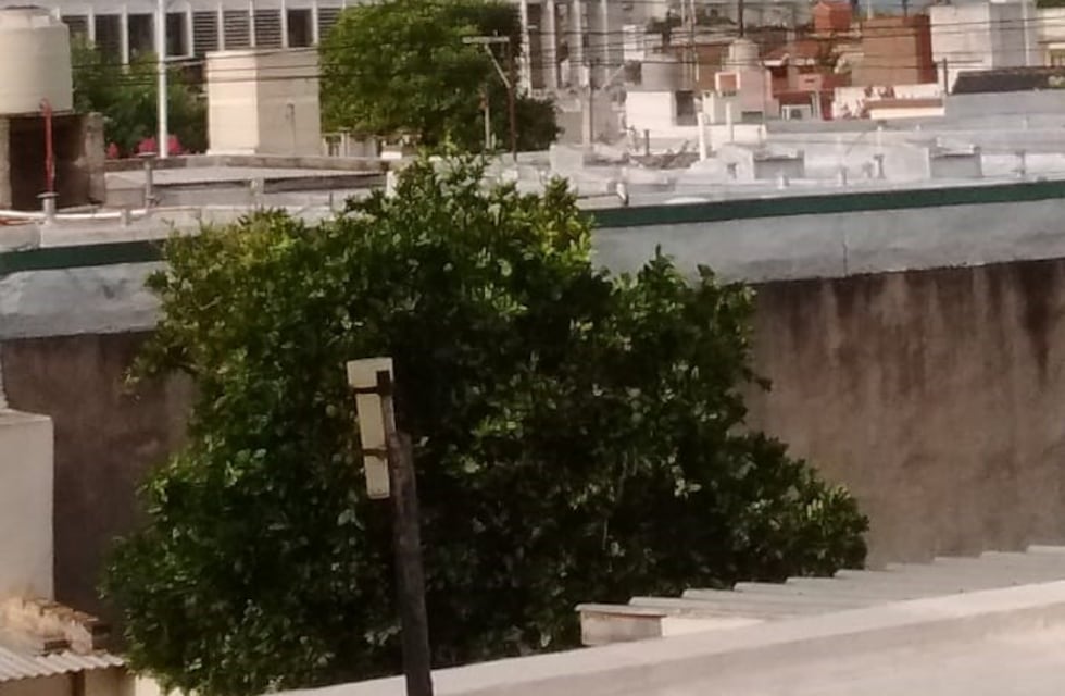 ¿Como va a estar el tiempo este jueves 17 de enero en Marcos Juárez?