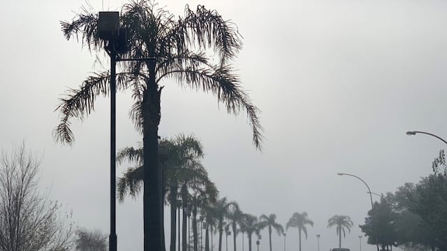Neblina en un sector de la costanera de Villa Carlos Paz. (Foto: archivo).
