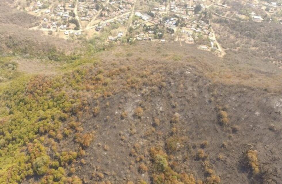 Incendios forestales: la Cámara de Diputados aprobó el proyecto que impide vender tierras quemadas
