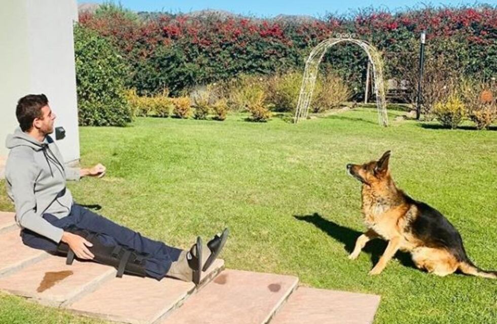 El emotivo mensaje de Juan Martín del Potro por la muerte de su perro Astor