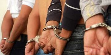 Cuatro detenidos por robar una caja de pollos a punta de cuchillo