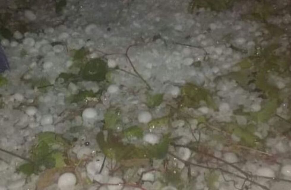 Una intensa tormenta de granizo afectó a cultivos de la zona este