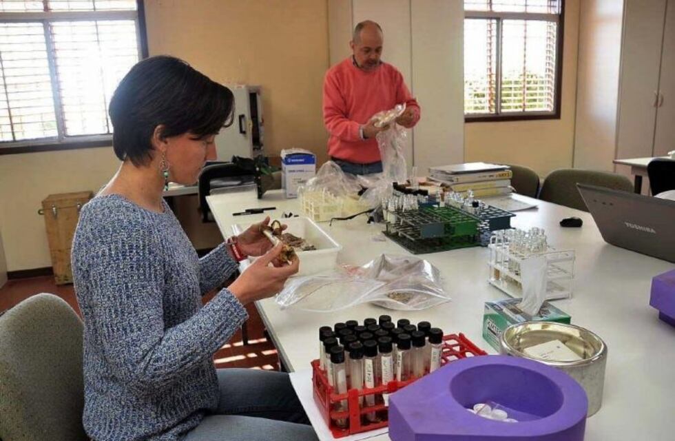 De San Rafael a Latinoamérica: la UTN inauguró un moderno laboratorio