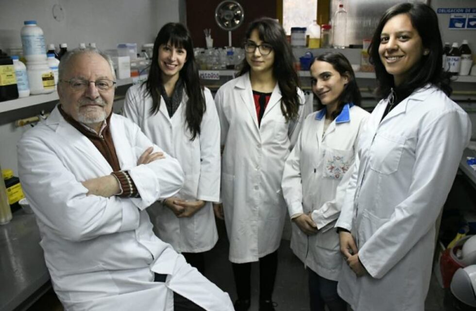 Los investigadores rosarinos que encontraron la forma de producir celulosa sin talar un solo árbol