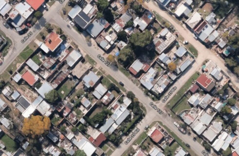 Detuvieron a un joven por ser causante de la muerte de su familia