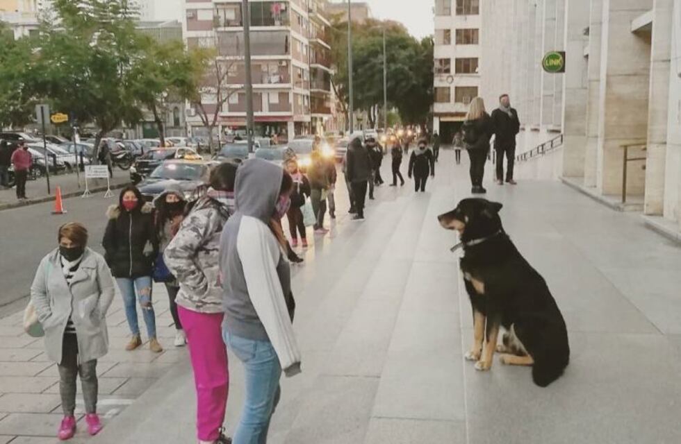 Cierran juzgado provincial de Rosario y tribunales federales por coronavirus