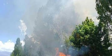 Incendios en Potrerillos