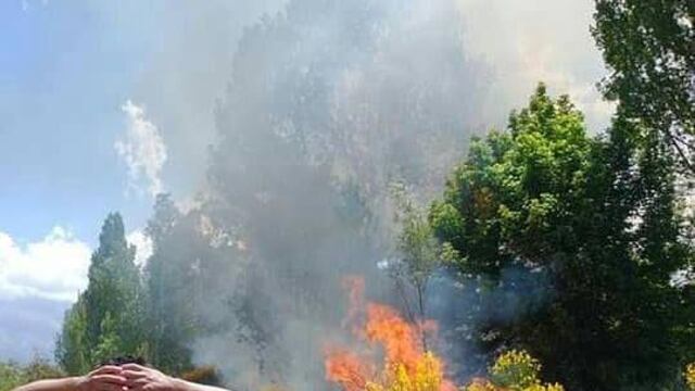 Incendios en Potrerillos