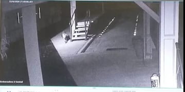 Un trabajador tuvo un encuentro cercano con un Yaguareté en el Parque Nacional Cataratas