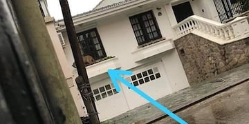 Puma suelto en Los Perales