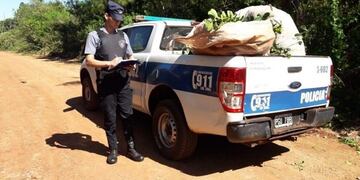 La rápida intervención policial permitió detener al ladrón de 31 años\u002E