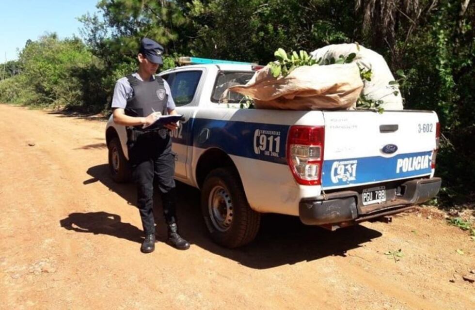 Fue detenido cuando caminaba con yerba mate robada