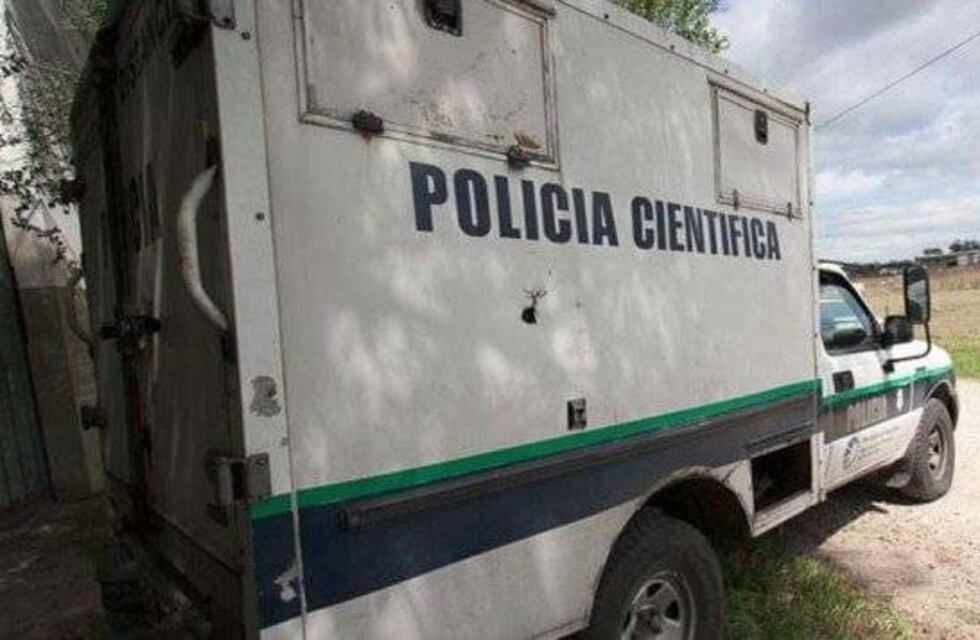 Hallaron pelos y restos de tela donde apareció el cadaver del niño mutilado en Miramar