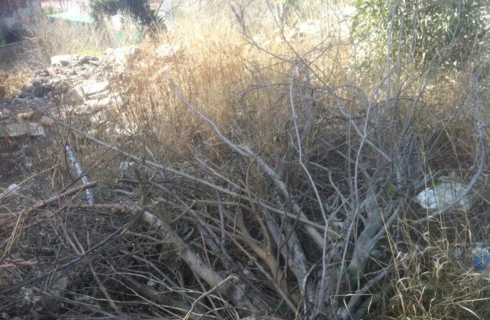 El Municipio continúa con su plan de recuperación de terrenos abandonados