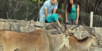 El registro de Adoptantes Responsables es un procedimiento para regular la entrega de los animales actualmente alojados en las instalaciones de la Dirección Ecoparque Mendoza\u002E