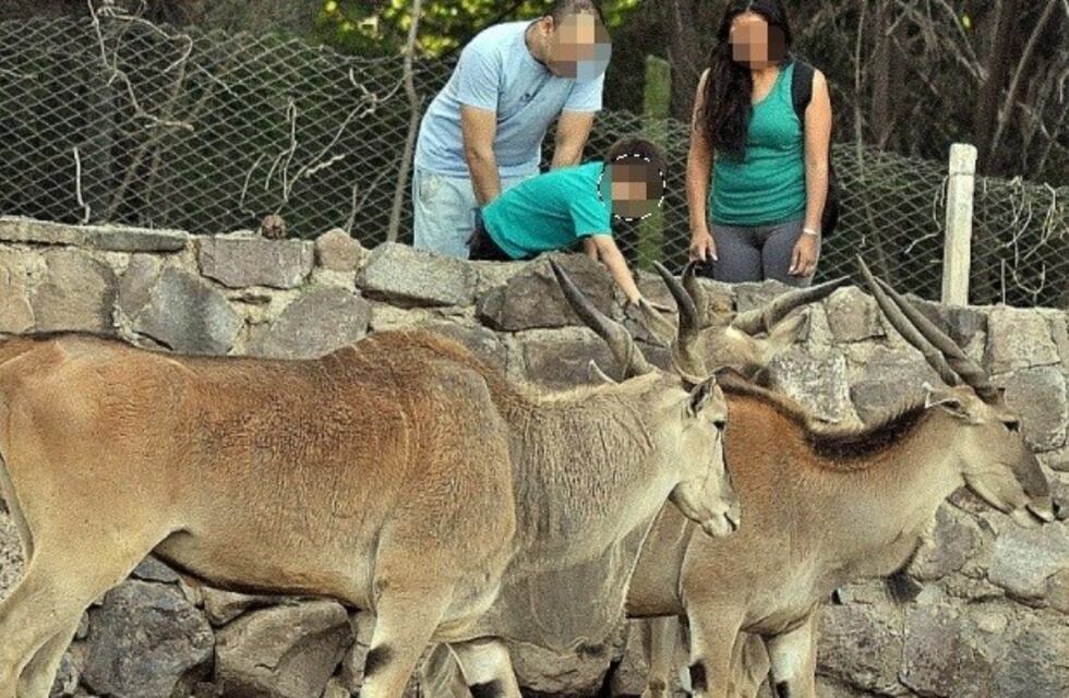 Ya solicitaron más de 3.000 animales al Ecoparque