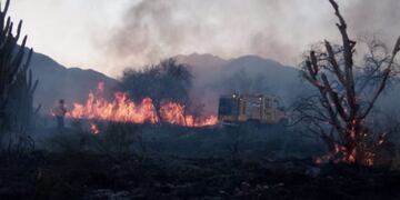 Incendio Forestal