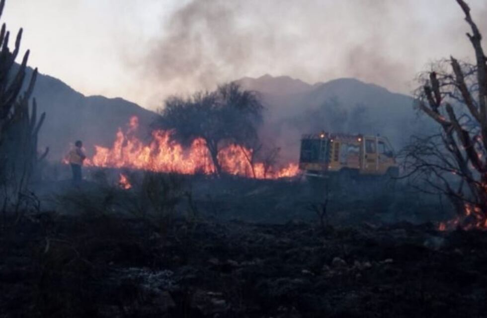 Incendio forestal de gran magnitud frente al Parque de la Ciudad