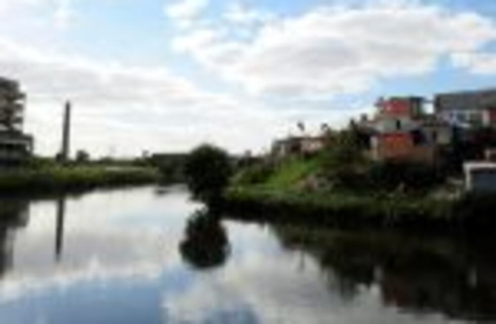 Impulsan un sistema para limpiar el Riachuelo en tres años