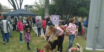 Dia del Animal en San Luis