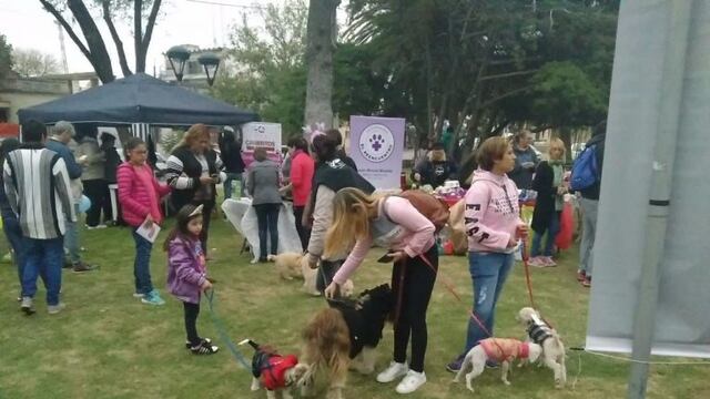 Dia del Animal en San Luis