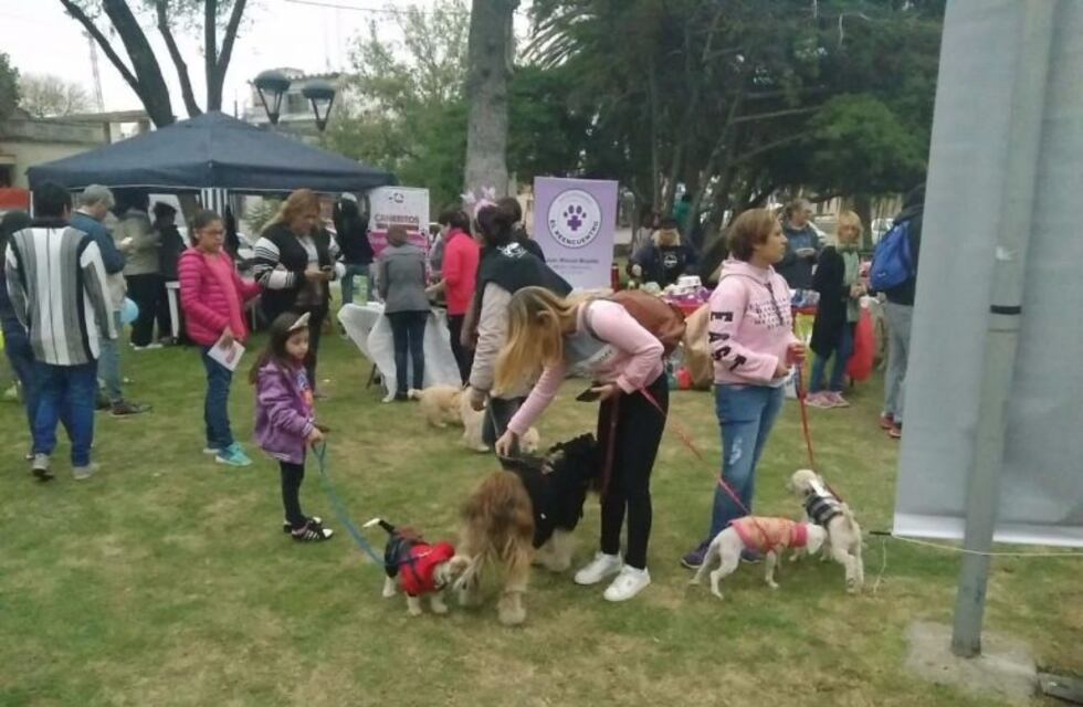 San Luis celebró con un desfile de perros por el Día del Animal