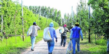 Trabajadores rurales Río Negro\u002E