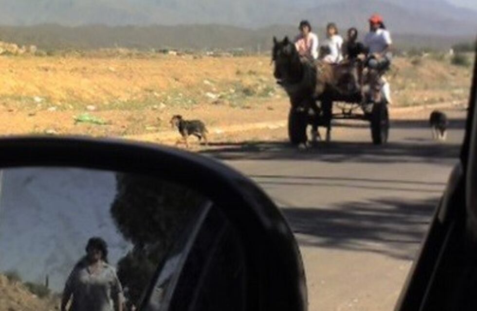 ¡No se salva nadie! Le robaron la carretela y el caballo