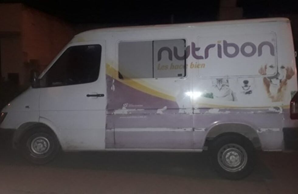 Bahía: un menor robó diez bolsas de alimento para gatos y lo atraparon