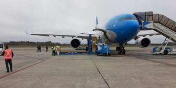 Coronavirus: llegó un nuevo avión de China con insumos para la provincia de Buenos Aires\u002E (Twitter/@SaludBAP)