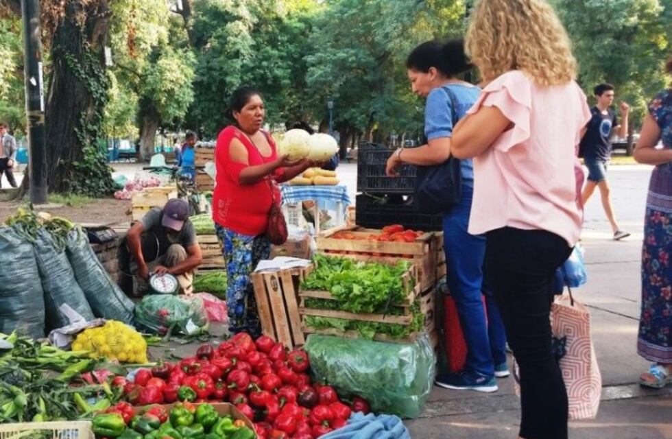Feriazo contra el paro del campo en pleno centro mendocino