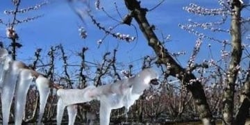 El Gobierno nacional oficializó la declaración de emergencia o desastre agropecuarios\u002E