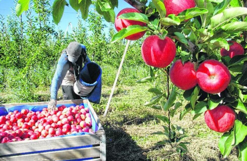 Productores frutícolas de Río Negro anunciaron un nuevo "frutazo" en Plaza de Mayo