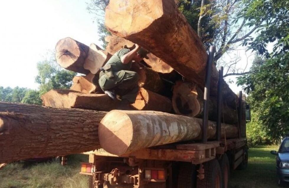 Agentes forestales secuestraron un camión con madera nativa en Misiones