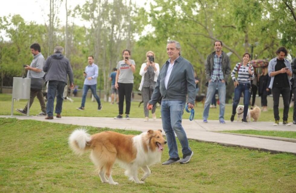 Alberto Fernández sacó a pasear a Dylan antes de ir a votar
