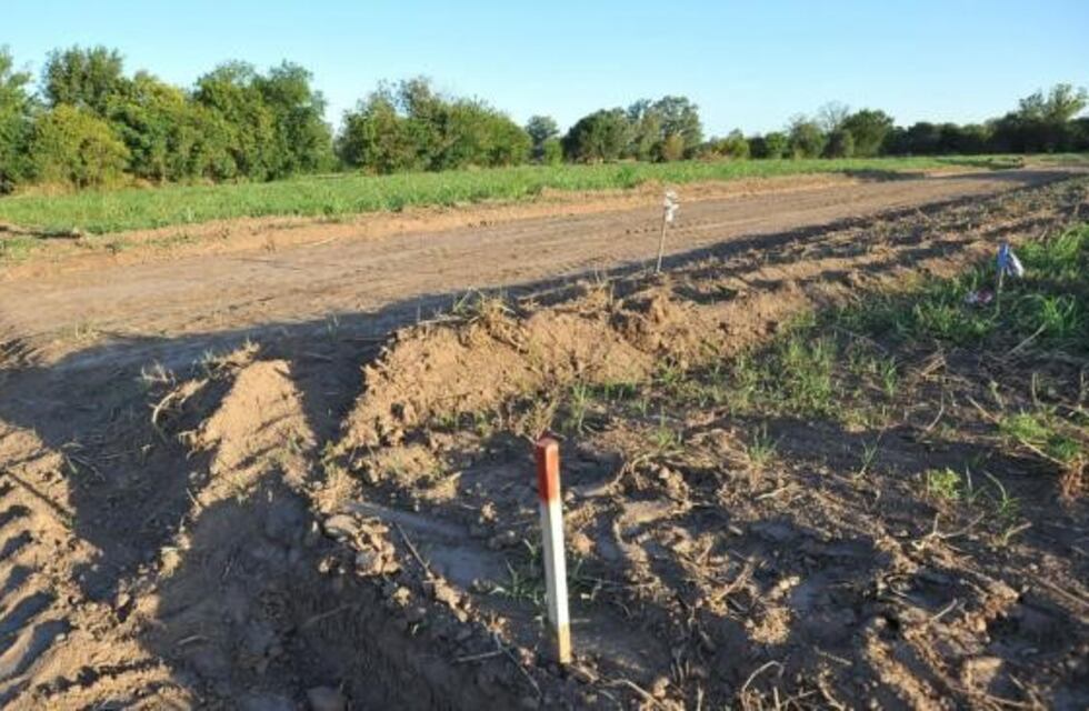 El Banco Nación firmó un convenio para financiar la compra de lotes en Córdoba