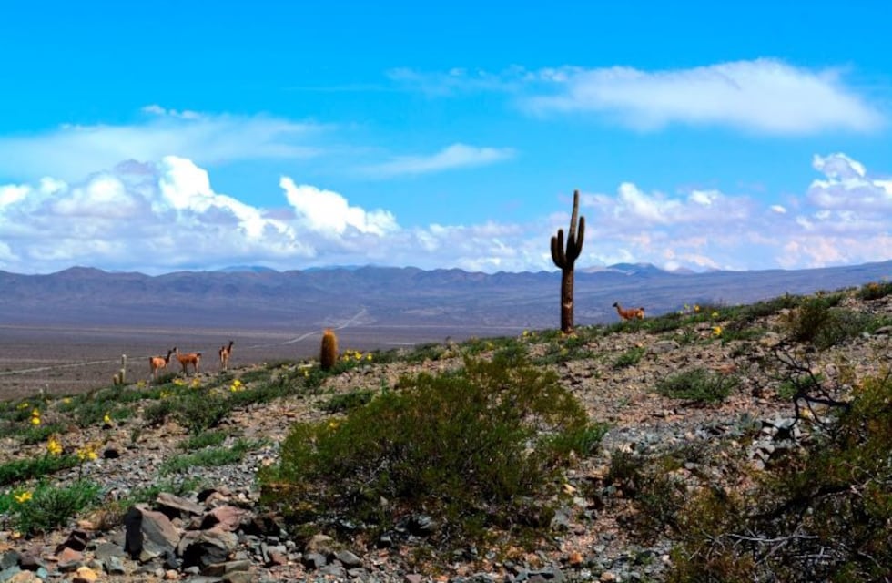 Está habilitada la ruta a Cachi