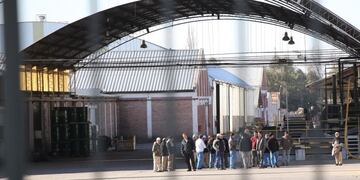 Conservera la Colina