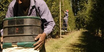 El Gobierno de Mendoza impulsa el Programa de Mejora Competitiva (PMG) para frutales\u002E